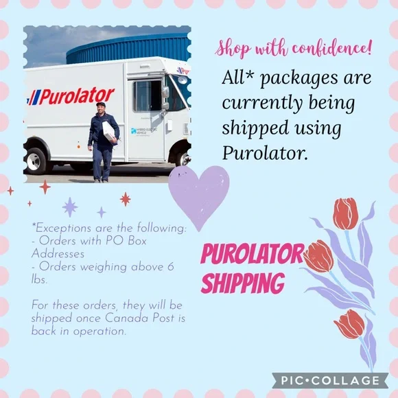 Purolator Shipping Service - Picture 2 of 2